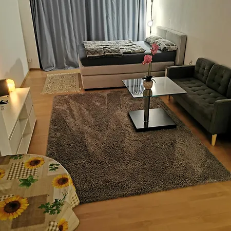 Lägenhet Privatwohnung Im Stadtzentrum Gießen